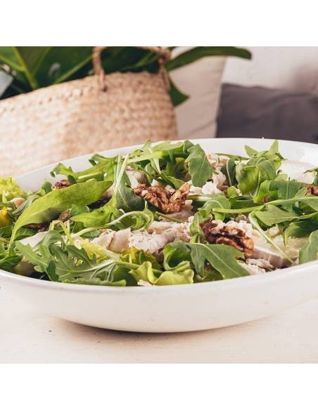 Salade de Poulet à Saint-Sébastien | Pizzería La Mina – Livraison